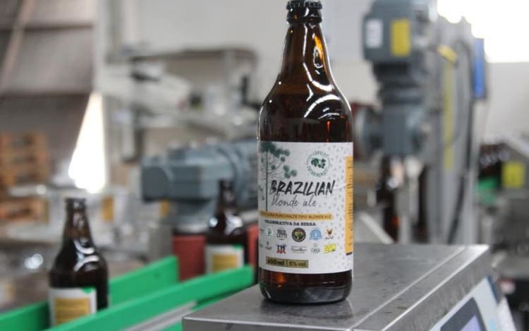 Cervejarias de SC se unem para lançar rótulo colaborativo feito com lúpulo catarinense