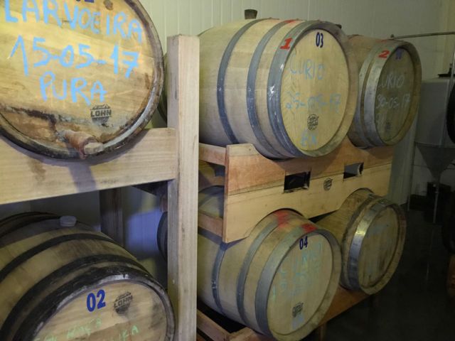 Catharina Sour na Argentina: cervejeiros catarinenses visitam o país hermano para trazer barris de madeira, lúpulos, cervejas e histórias