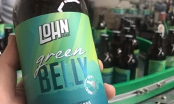 Green Belly - A cerveja com lúpulos Catarinenses