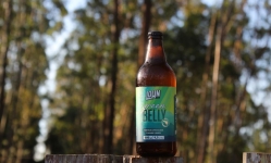 Green Belly - A cerveja com lúpulos Catarinenses