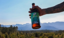 Green Belly - A cerveja com lúpulos Catarinenses